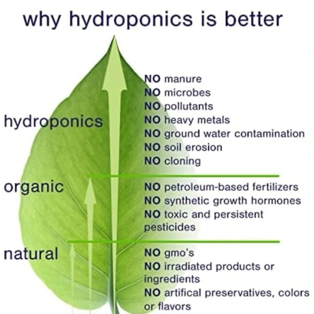 NEW Marlo Hydroponic Skincare: Bloom Lavish‎ Whipped Cleanser